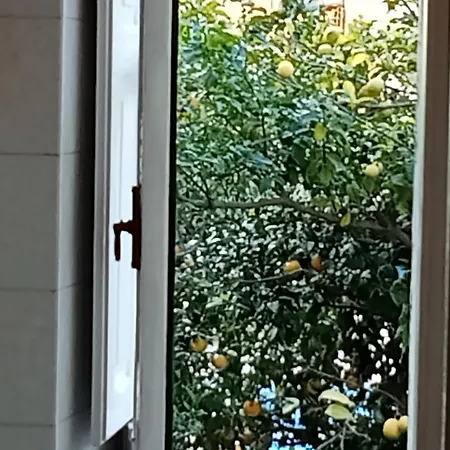 Mamma Elisa Apartament Półwysep Sorrentyński